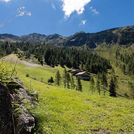 Feldererhof Apt Almenblick サンタ・マッダレーナ・イン・カジーエス エクステリア 写真