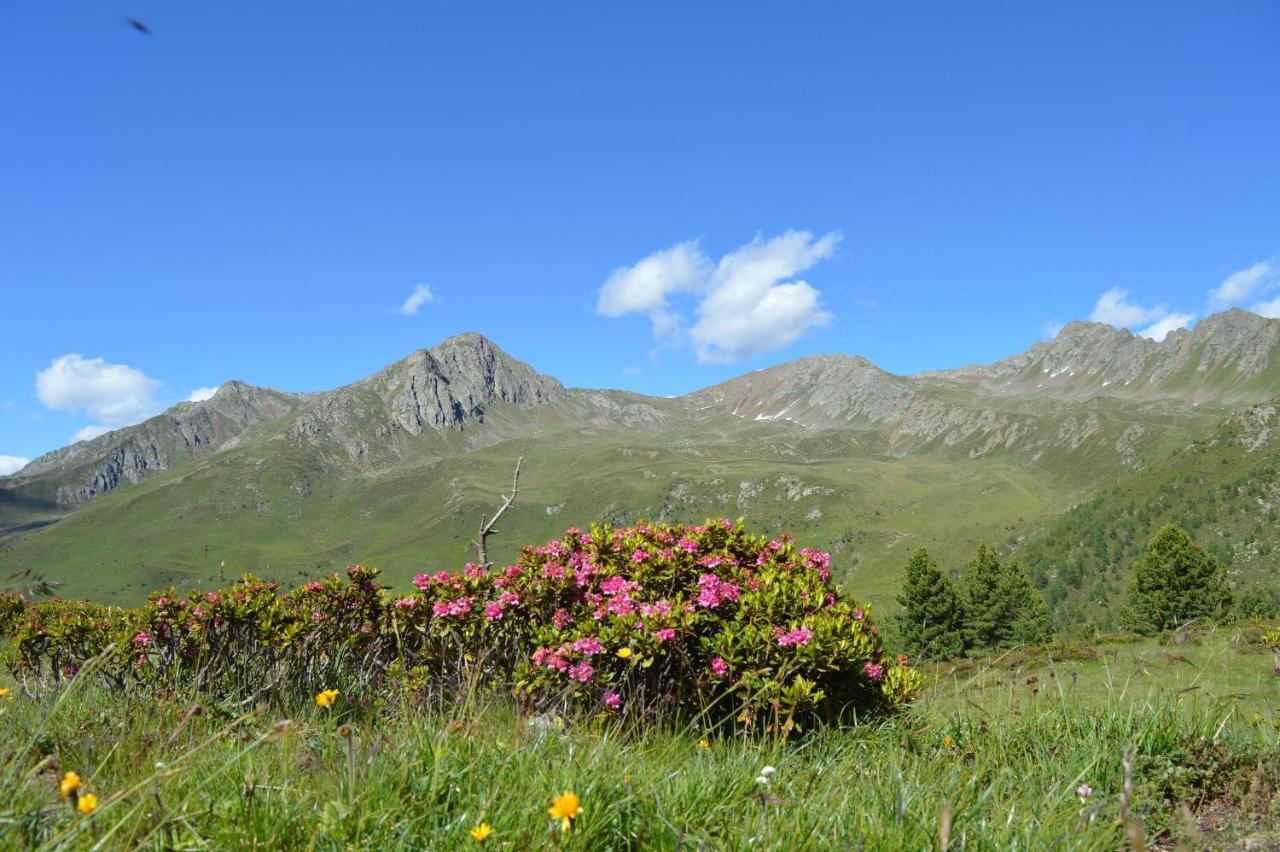 Feldererhof Apt Almenblick サンタ・マッダレーナ・イン・カジーエス エクステリア 写真