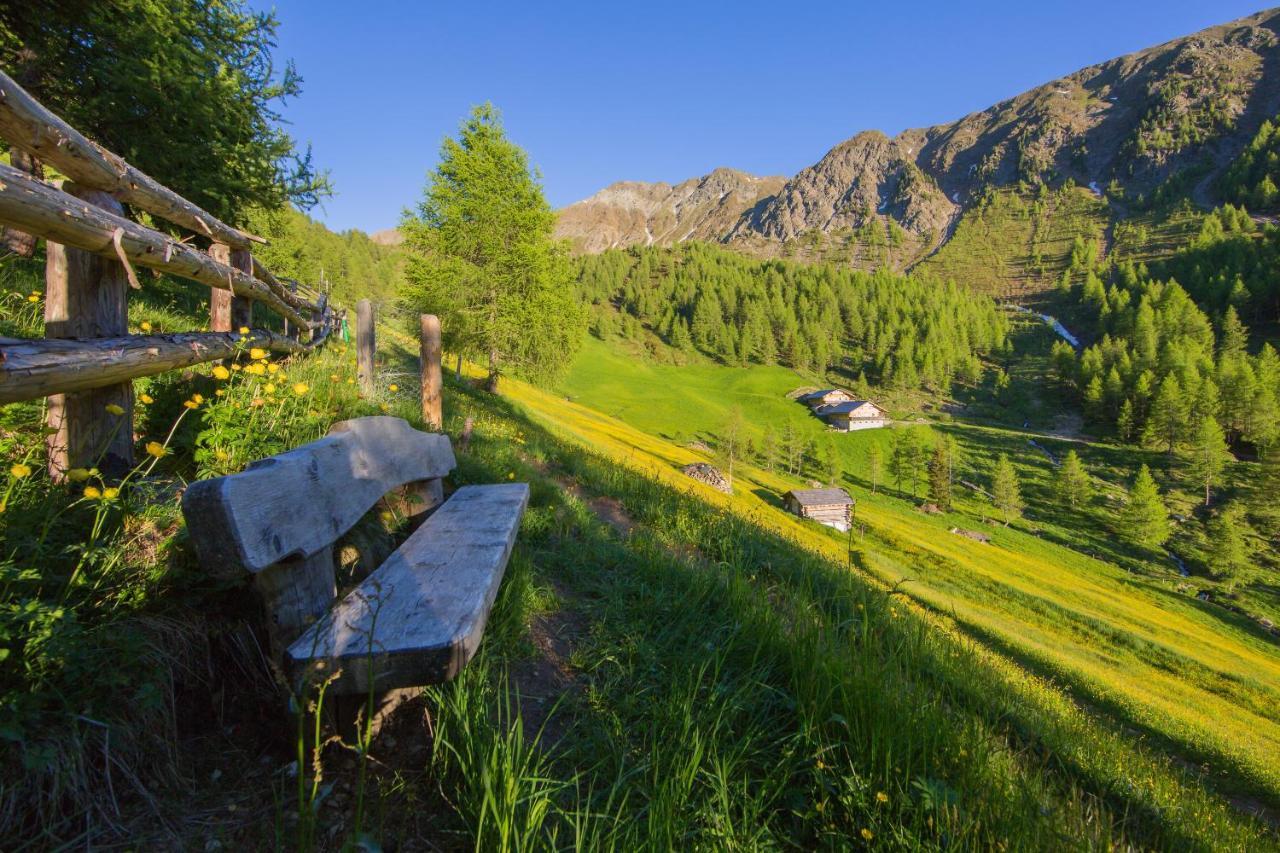 Feldererhof Apt Almenblick サンタ・マッダレーナ・イン・カジーエス エクステリア 写真